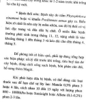 Sổ tay trồng và chăm sóc một số chủng loại cây ăn quả part 7