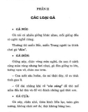 Ebook Kỹ thuật nuôi gà chọi: Phần 2