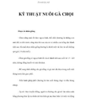 KINH NGHIỆM NUÔI GÀ CHỌI