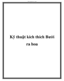 Kỹ thuật kích thích Bưởi ra hoa