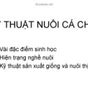 CÁC KỸ THUẬT NUÔI CÁ CHẼM