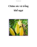 Chăm sóc và trồng khế ngọt