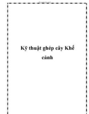 Kỹ thuật ghép cây Khế cảnh