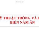 CÁC KỸ THUẬT TRỒNG VÀ CHẾ BIẾN NẤM ĂN