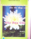 Công nghệ trồng hoa mới cho thu nhập cao-Cây hoa cúc