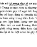 Bệnh tôm nuôi và hỏi đáp về môi trường: Phần 2