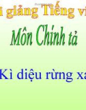 Bài giảng Chính tả: Nghe, viết: Kì diệu rừng xanh - Tiếng việt 5 - GV.N.T.Hồng