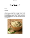 CÁM GẠO(Bran rice)