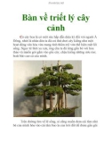 Bàn về triết lý cây cảnh