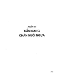 Cẩm năng chăn nuôi ngựa