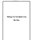 Phòng Và Trị Bệnh Cho Bò Sữa