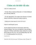 Chăm sóc bò khi vắt sữa