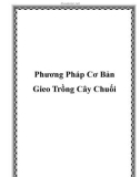 Phương Pháp Cơ Bản Gieo Trồng Cây Chuối