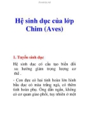 Hệ sinh dục của lớp Chim (Aves)