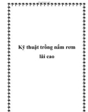 Kỹ thuật trồng nấm rơm lãi cao