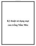 Kỹ thuật sử dụng mạt cưa trồng Nấm Mèo