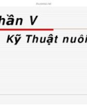 Kỹ thuật nuôi Trùn quế - Phần V