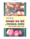 Hỏi đáp kỹ thuật trồng nhãn da bò, trồng điều đạt năng suất cao