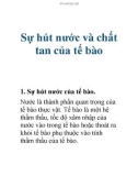 Sự hút nước và chất tan của tế bào