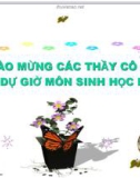 Bài giảng điện tử môn sinh học: Sự hút nước và muối khoáng của rễ