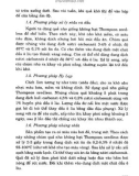 Kỹ thuật trồng nho part 10