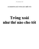 Trồng Xoài như thế nào cho tốt?