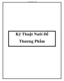 Kỹ Thuật Nuôi Dế Thương Phẩm