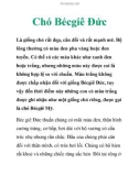 Chó Bécgiê Đức