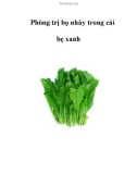 Phòng trị bọ nhảy trong cải bẹ xanh