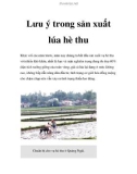 Lưu ý trong sản xuất lúa hè thu