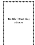 Tìm hiểu về Cánh Đồng Mẫu Lớn