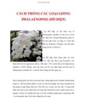 CÁCH TRỒNG CÁC LOẠI GIỐNG PHALAENOPSIS (HỒ ĐIỆP)