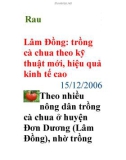 Lâm Đồng: trồng cà chua theo kỹ thuật mới, hiệu quả kinh tế cao