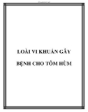 LOÀI VI KHUẨN GÂY BỆNH CHO TÔM HÙM