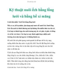 Kỹ thuật nuôi ếch bằng lồng lưới và bằng bể xi măng