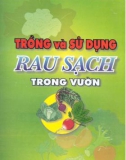 Kỹ thuật trồng và sử dụng rau sạch trong vườn