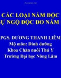 CÁC LOẠI NẤM ĐỘC VÀ SỰ NGỘ ĐỘC DO NẤM ĐỘC