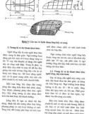 Một số nghề khai thác thủy sản ờ Việt Nam part 9