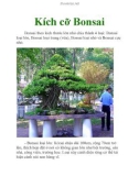 Kích cỡ Bonsai