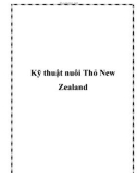 Kỹ thuật nuôi Thỏ New Zealand