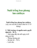 Nuôi trồng hoa phong lan cattleya