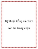 Kỹ thuật trồng và chăm sóc lan trong chậu