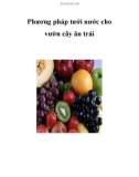 Phương pháp tưới nước cho vườn cây ăn trái