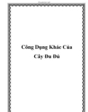 Công Dụng Khác Của Cây Đu Đủ