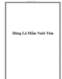 Dùng Lá Mắm Nuôi Tôm