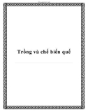 Trồng và chế biến quế