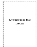 Kỹ thuật nuôi cá Thát Lát Còm