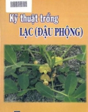 Kỹ thuật trồng lạc (đậu phộng)