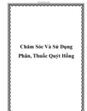 Chăm Sóc Và Sử Dụng Phân, Thuốc Quýt Hồng