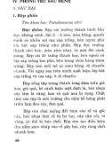 Trồng, chăm sóc và phòng trừ sâu bệnh cây hồ tiêu - Bác sĩ cây trồng quyển 22: Phần 2